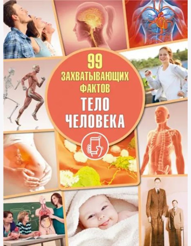 Тело человека