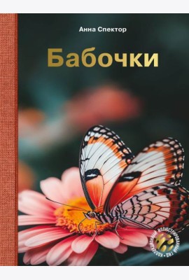 Бабочки