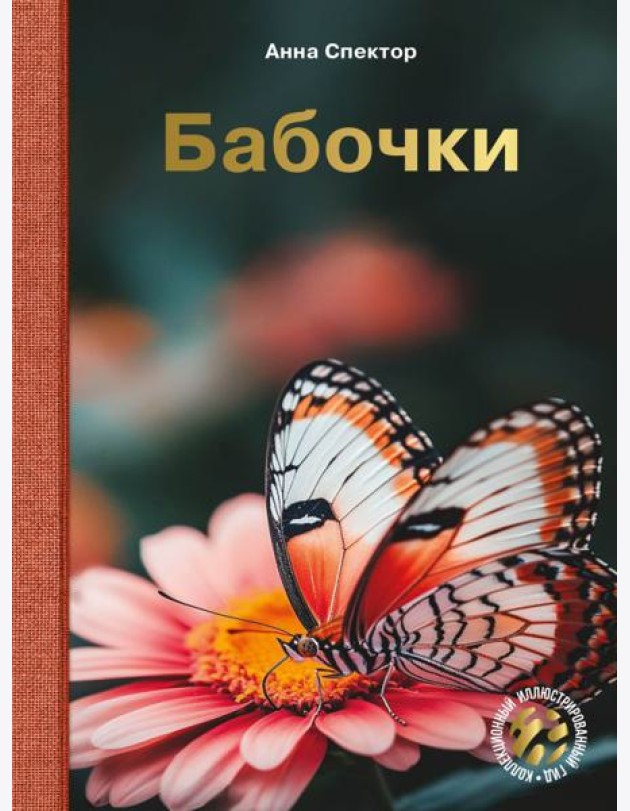 Бабочки
