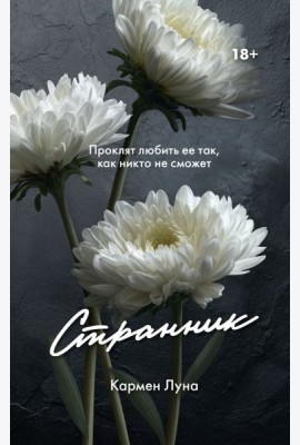 Странник: роман