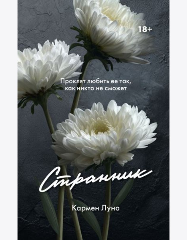 Странник: роман