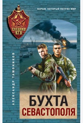 Бухта Севастополя
