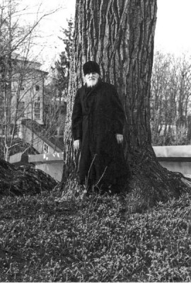 Радовать и радоваться. Практические советы архимандрита Иоанна (Крестьянкина). 7-е изд