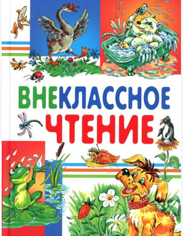 Внеклассное чтение