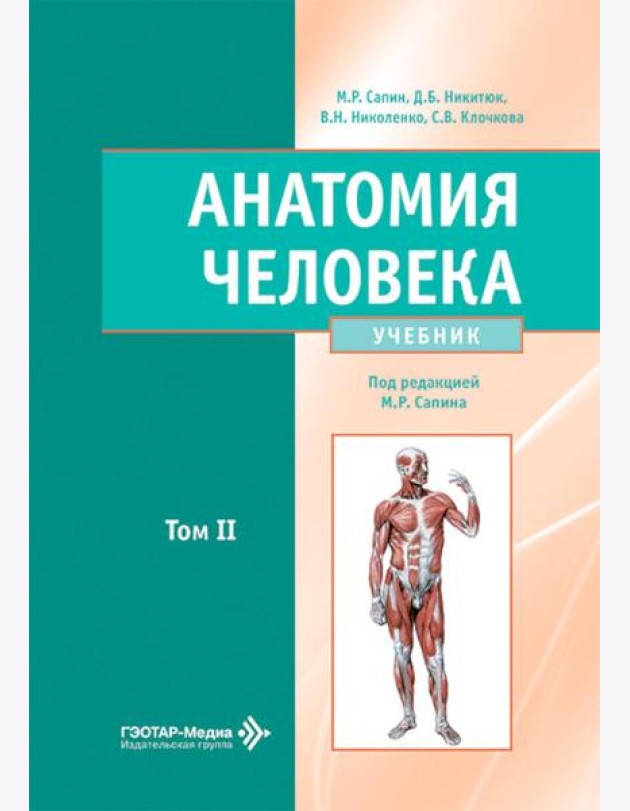 Анатомия человека: Учебник: в 2 т. Т. 2