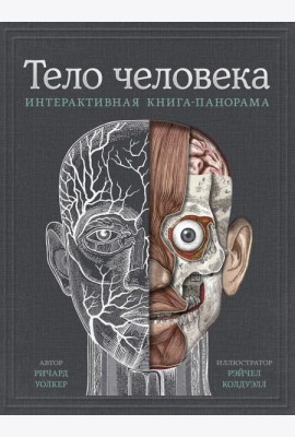МИФ. Детство 5-12/Тело человека. Интерактивная книга-панорама