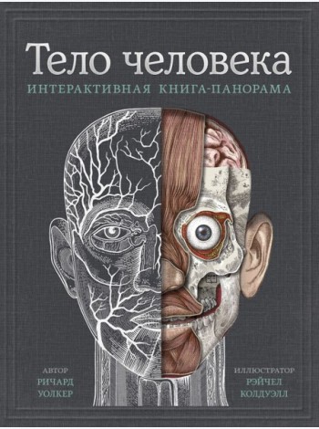 МИФ. Детство 5-12/Тело человека. Интерактивная книга-панорама