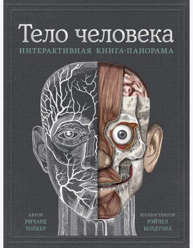 МИФ. Детство 5-12/Тело человека. Интерактивная книга-панорама