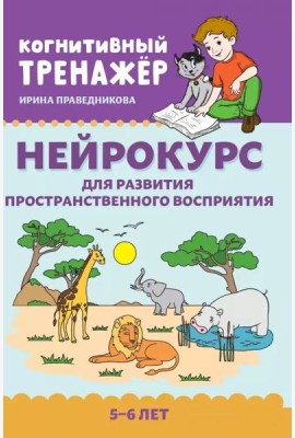 Нейрокурс для развития пространственного восприятия: 5-6 лет