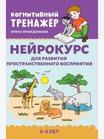 Нейрокурс для развития пространственного восприятия: 5-6 лет