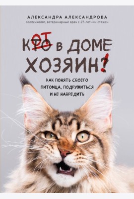Кот в доме хозяин! Как понять своего питомца, подружиться и не навредить (новое оформление)