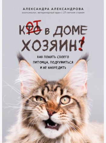 Кот в доме хозяин! Как понять своего питомца, подружиться и не навредить (новое оформление)