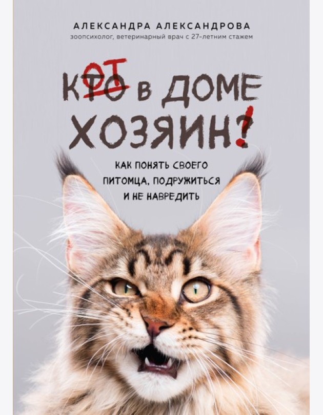 Кот в доме хозяин! Как понять своего питомца, подружиться и не навредить (новое оформление)