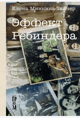Эффект Ребиндера: роман
