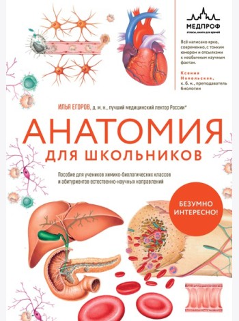 Анатомия для школьников. Пособие для учеников химико-биологических классов и абитуриентов естественно-научных направлений