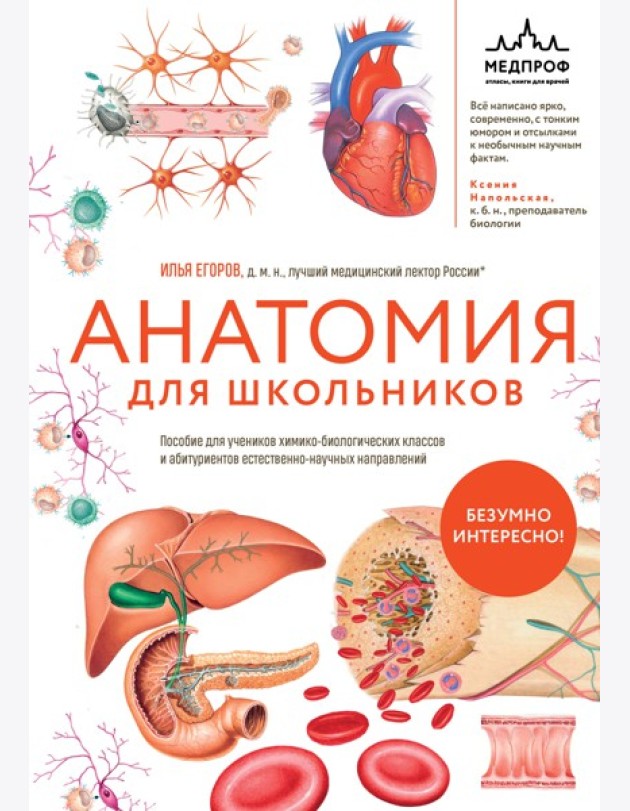 Анатомия для школьников. Пособие для учеников химико-биологических классов и абитуриентов естественно-научных направлений