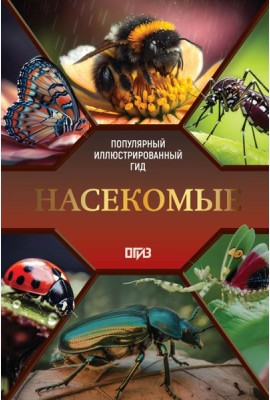 Насекомые. Иллюстрированный гид