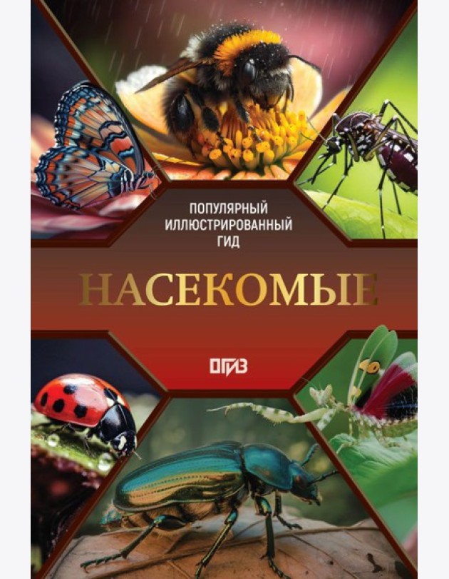 Насекомые. Иллюстрированный гид