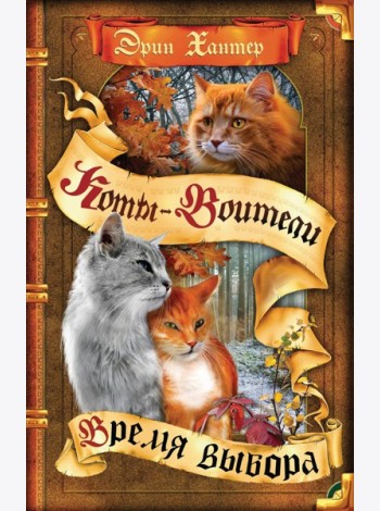 Коты-воители. Цикл