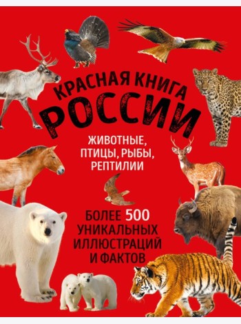 Красная книга России. Большой формат. Более 500 уникальных иллюстраций и фактов (новое издание) (основной)