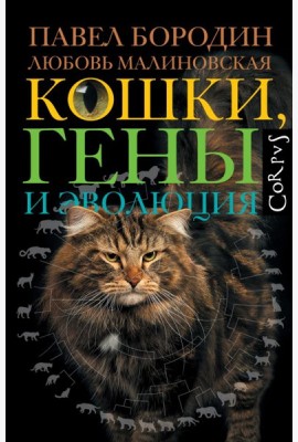 Кошки, гены и эволюция