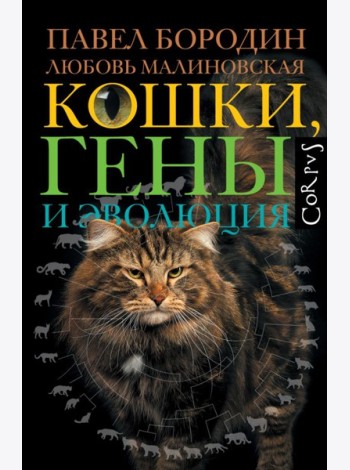 Кошки, гены и эволюция