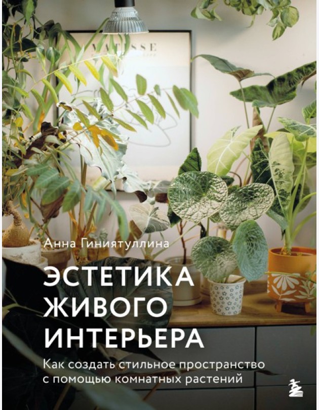 Эстетика живого интерьера. Как создать стильное пространство с помощью комнатных растений