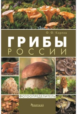 Грибы России. Фотоопределитель