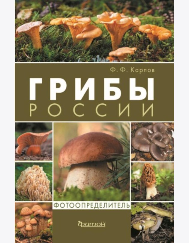 Грибы России. Фотоопределитель