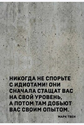 Блокнот. Никогда не спорьте с идиотами! (А5, твердая обложка, 64 л.)