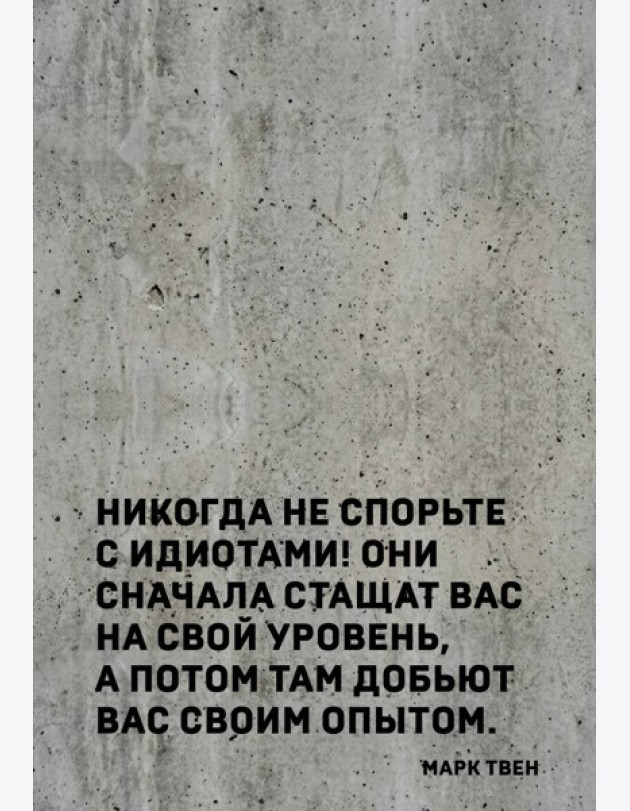 Блокнот. Никогда не спорьте с идиотами! (А5, твердая обложка, 64 л.)