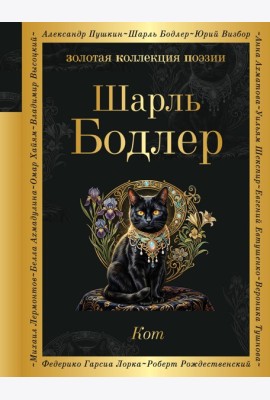 Кот