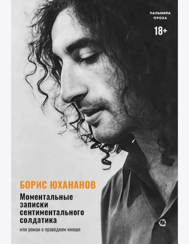 Моментальные записки сентиментального солдатика, или Роман о праведном юноше