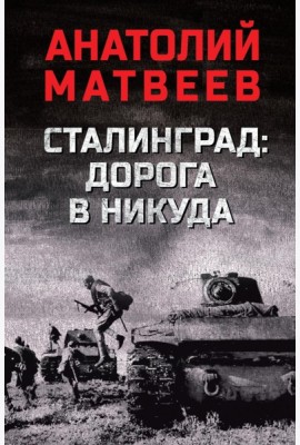 Сталинград: дорога в никуда: роман