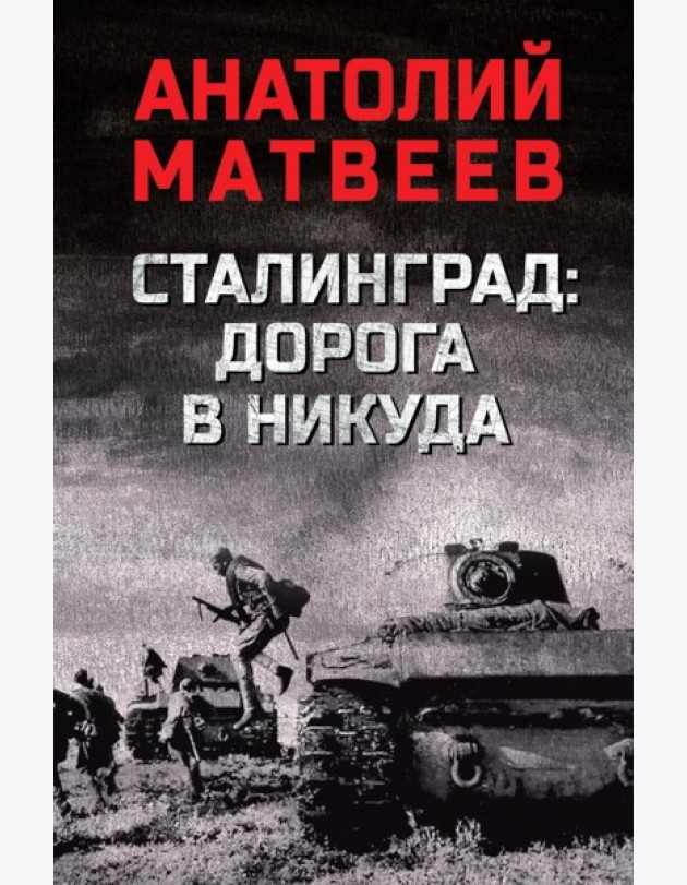 Сталинград: дорога в никуда: роман